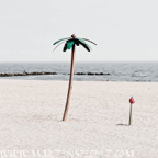 _MG_1095work20070928-003400Nr296